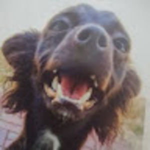 Meet your Posher, China